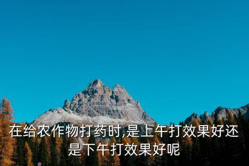在給農(nóng)作物打藥時,是上午打效果好還是下午打效果好呢