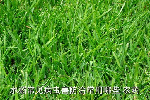 水稻常見病蟲害防治常用哪些 農藥