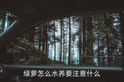綠蘿怎么水養(yǎng)要注意什么