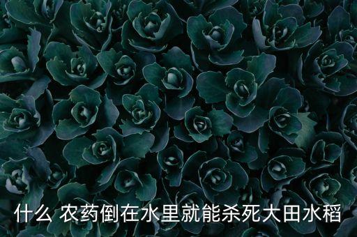 倍增農(nóng)藥什么用處,農(nóng)藥有什么用處