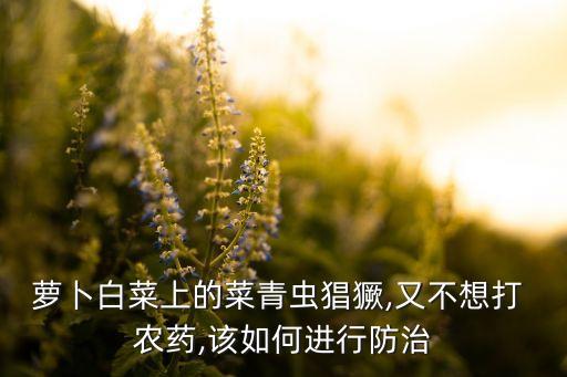 蘿卜白菜上的菜青蟲猖獗,又不想打 農藥,該如何進行防治