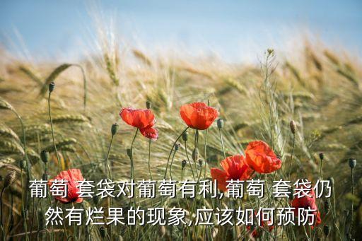 葡萄 套袋對葡萄有利,葡萄 套袋仍然有爛果的現象,應該如何預防