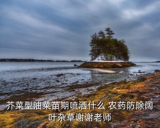 ,婆婆納用什么農藥消除