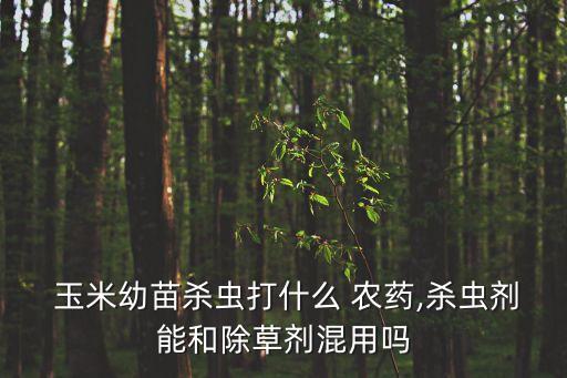 玉米幼苗殺蟲打什么 農藥,殺蟲劑能和除草劑混用嗎