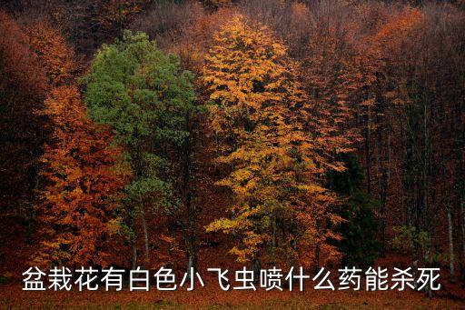 盆栽花有白色小飛蟲噴什么藥能殺死
