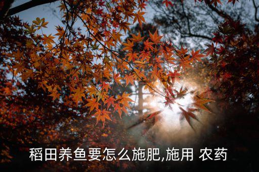 禾苗在什么時候打農藥