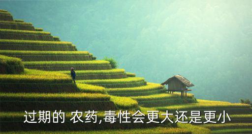  過期的 農(nóng)藥,毒性會更大還是更小