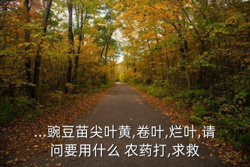 落豆秧打什么農藥