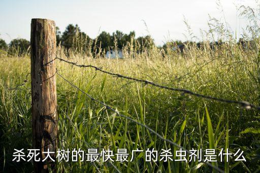 什么藥能消滅農(nóng)藥,藥魚用什么農(nóng)藥最好無毒