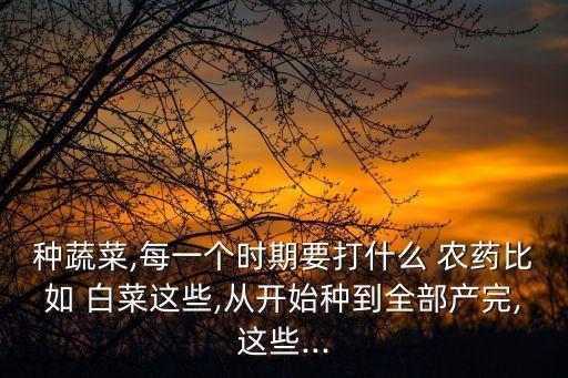 白菜初期用什么農(nóng)藥,白菜打農(nóng)藥什么時間最好