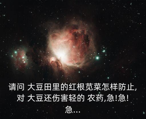 大豆田都噴什么農藥好