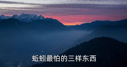 蚯蚓對農(nóng)藥有什么危害,小孩子玩蚯蚓有什么危害