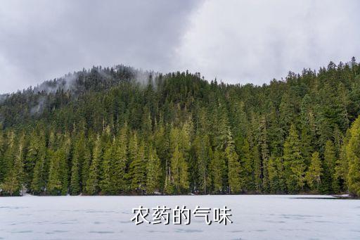 農藥打完了蔬菜是什么味道,農藥敵敵畏是什么味道