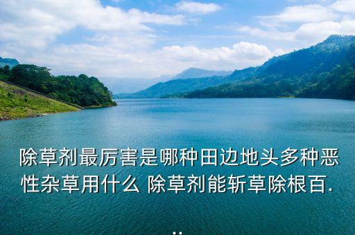 除草劑最厲害是哪種田邊地頭多種惡性雜草用什么 除草劑能斬草除根百...