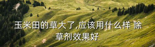 什么農藥打玉米除草,興園農藥玉米田除草產品