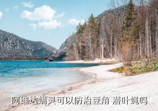 美洲潛葉蠅打什么農藥,殺潛葉蠅用什么農藥