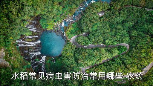 什么農藥對水稻傷害最大,水稻矮化用什么農藥