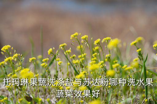 托瑪琳果蔬洗滌鹽與蘇達(dá)粉哪種洗水果蔬菜效果好