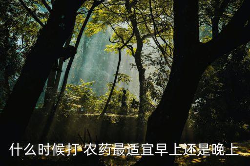 蔬菜什么時(shí)間加農(nóng)藥最好,洗蔬菜用什么洗去農(nóng)藥