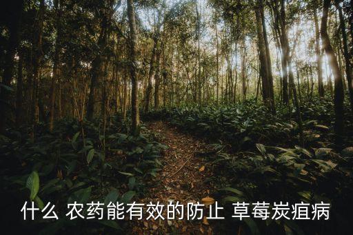 什么 農藥能有效的防止 草莓炭疽病