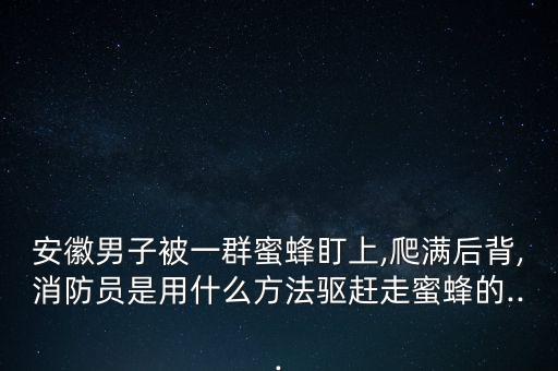 安徽男子被一群蜜蜂盯上,爬滿后背,消防員是用什么方法驅(qū)趕走蜜蜂的...