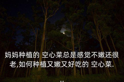 媽媽種植的 空心菜總是感覺不嫩還很老,如何種植又嫩又好吃的 空心菜...