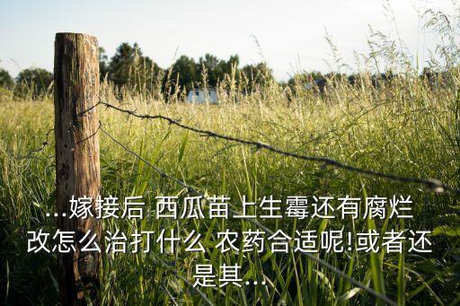 ,西瓜種子催芽后用什么農(nóng)藥