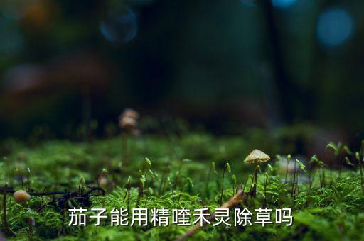 茄子能用精喹禾靈除草嗎