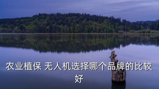 農(nóng)業(yè)植保 無人機(jī)選擇哪個品牌的比較好