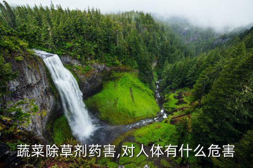 蔬菜除草劑藥害,對人體有什么危害