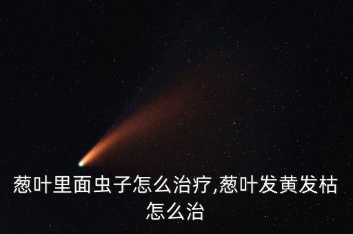 蔥葉里面蟲子怎么治療,蔥葉發黃發枯怎么治