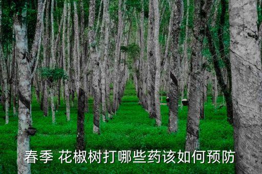 春季 花椒樹打哪些藥該如何預防