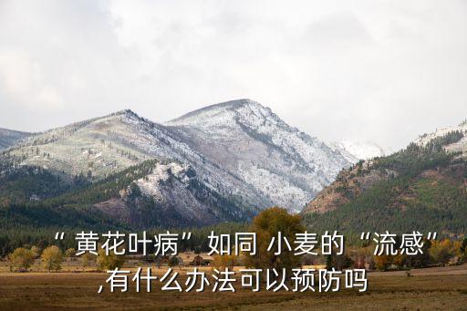 治小麥黃花病用什么農(nóng)藥,高錳酸鉀可以治小麥什么病