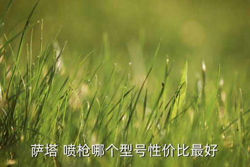 噴農藥什么噴槍好,農藥噴槍和噴桿哪種好