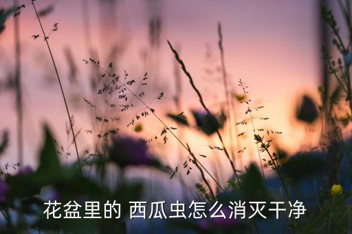 花盆里的 西瓜蟲怎么消滅干凈
