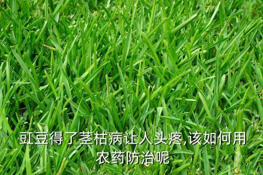 種豇豆打什么農藥,豇豆需要打什么藥