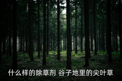 谷子用什么農藥打最好,谷子種子什么品種最好