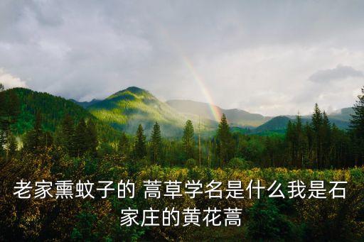 蒿草要什么農藥打藥好