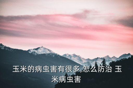 玉米病害用什么農藥好用,健達農藥針對什么病害