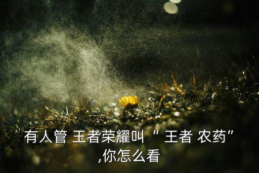 王者農藥別限流什么意思