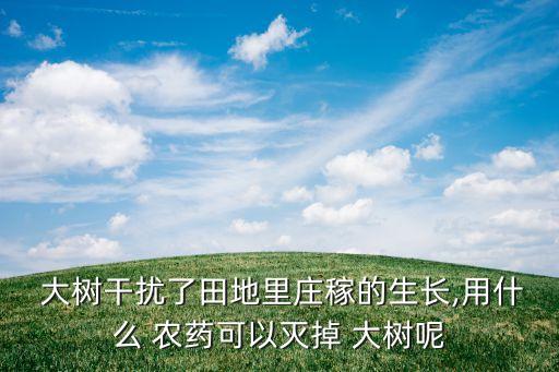 大樹干擾了田地里莊稼的生長,用什么 農藥可以滅掉 大樹呢