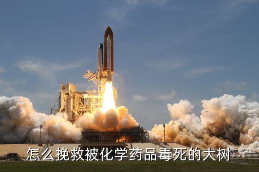 怎么挽救被化學藥品毒死的大樹