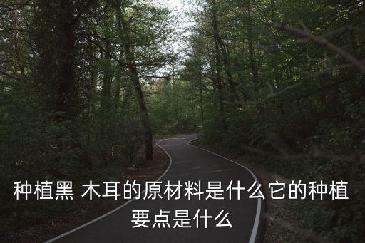 為什么木耳沒有農(nóng)藥,木耳為什么有農(nóng)藥味