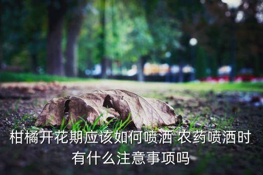 柑桔現在噴什么農藥了好,柑桔芽蟲用什么農藥