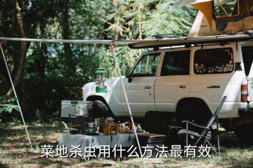 蔬菜青蟲用什么農藥,青蟲用什么農藥最快