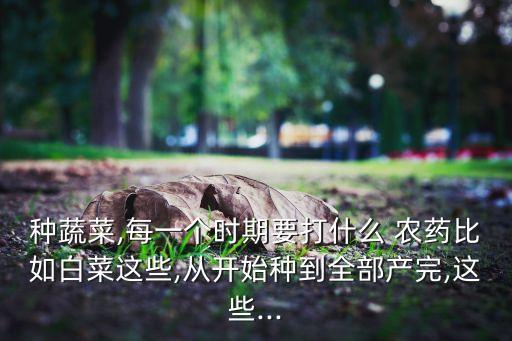 種蔬菜,每一個時期要打什么 農藥比如白菜這些,從開始種到全部產完,這些...