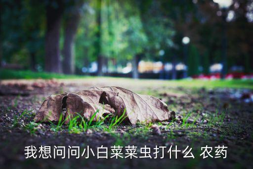 菜蟲用什么農藥防治,什么可以代替農藥殺菜蟲