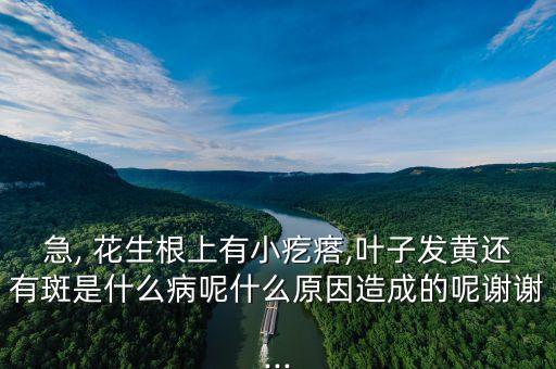 花生根腐爛打什么農藥殺菌