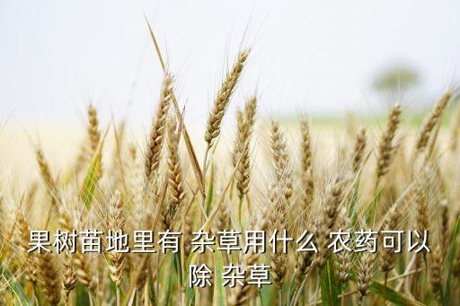 除各種雜草與樹木的農藥,雜草樹木用什么農藥殺死