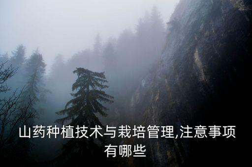 山藥種植技術(shù)與栽培管理,注意事項(xiàng)有哪些